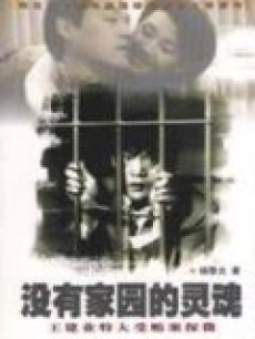 没有家园的灵魂