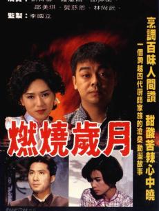 燃烧岁月海报
